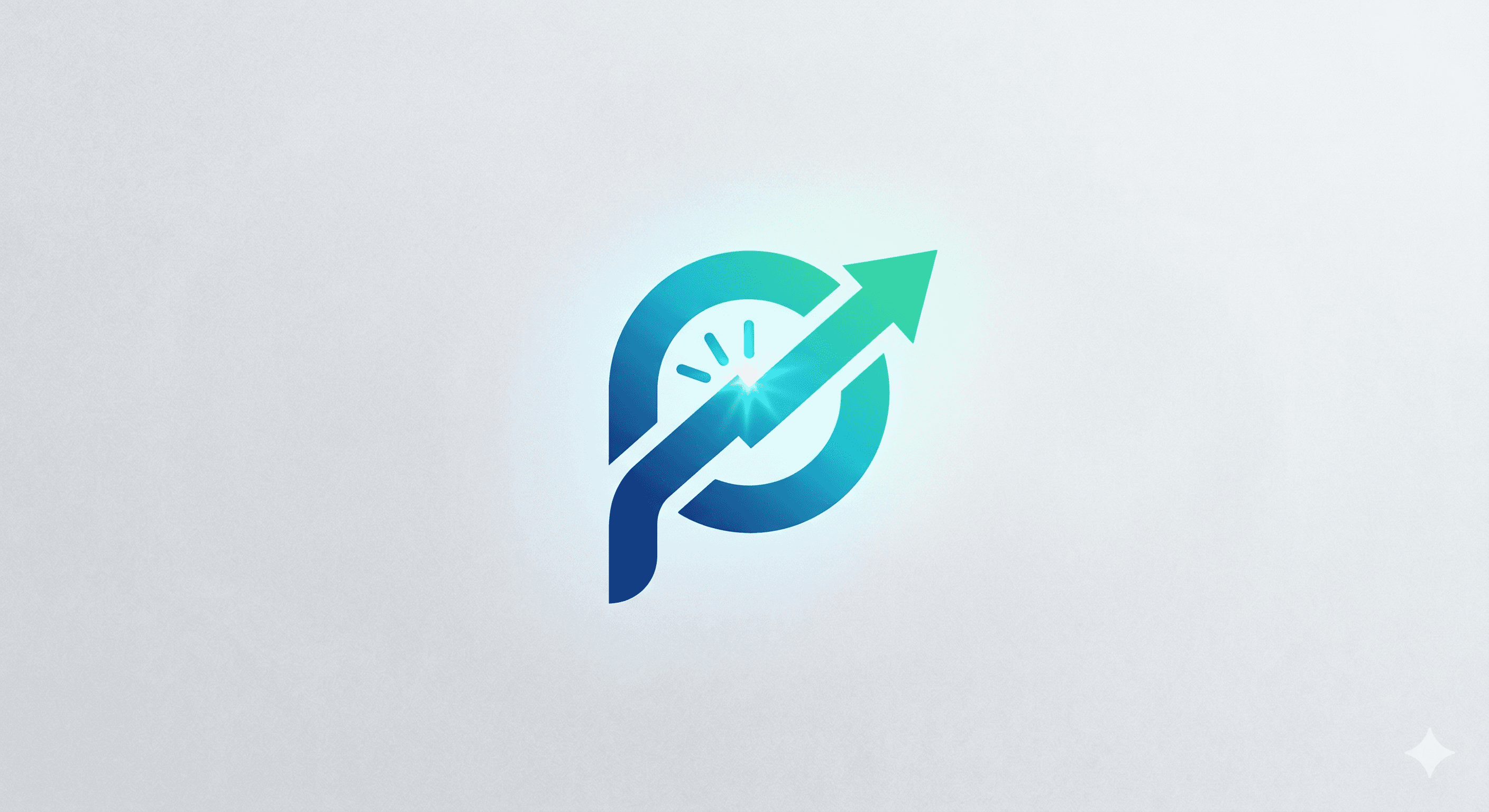 PayRa Logo